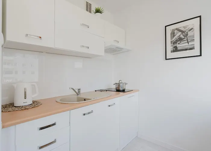 01 Oliwa - Mieszkanie Dla 4 Os * グダニスク